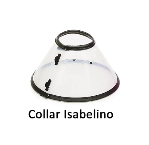 COLLAR ISABELINO MEDIUM - 20 CM