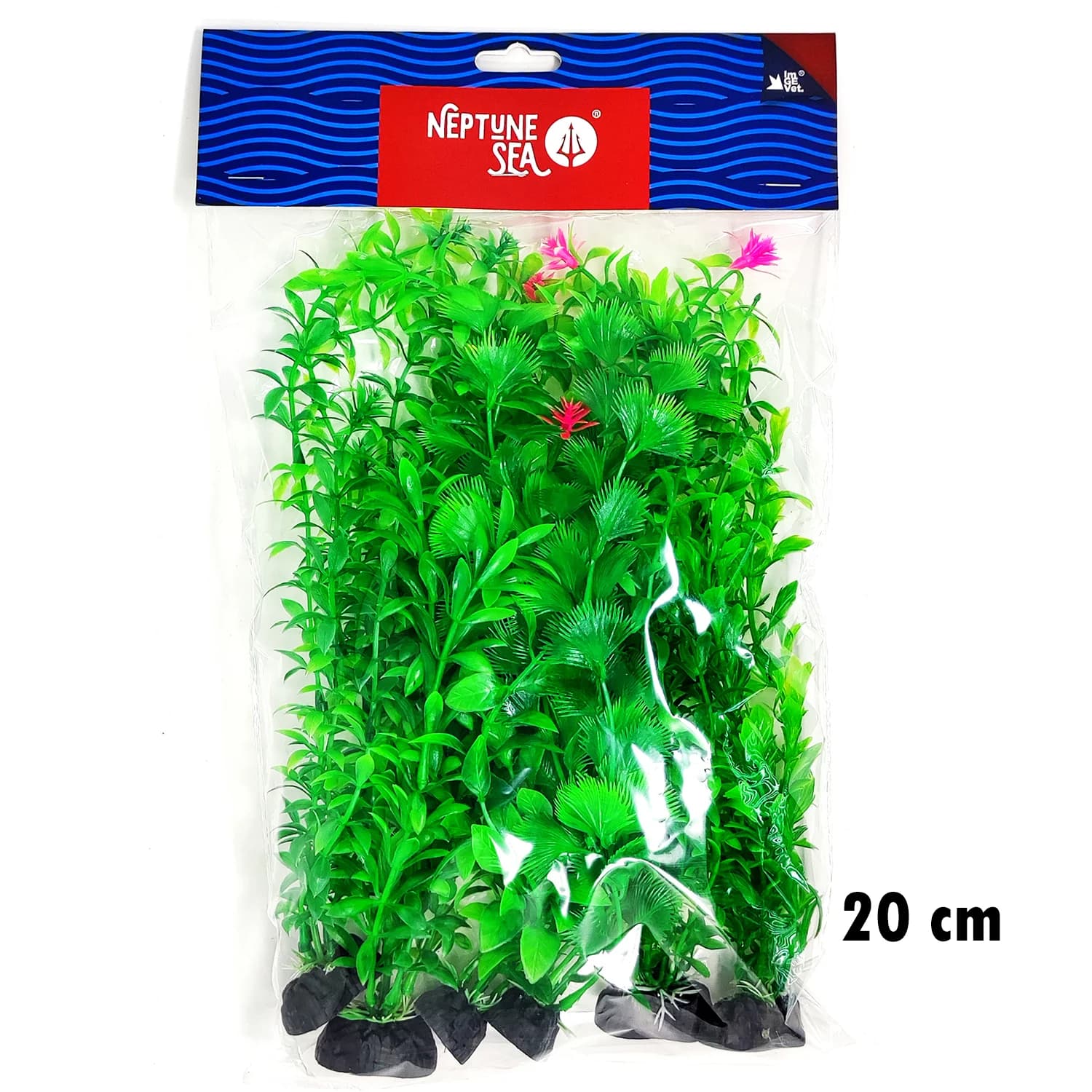 PLANTA SURTIDA VERDE 6 UDS 20 CM