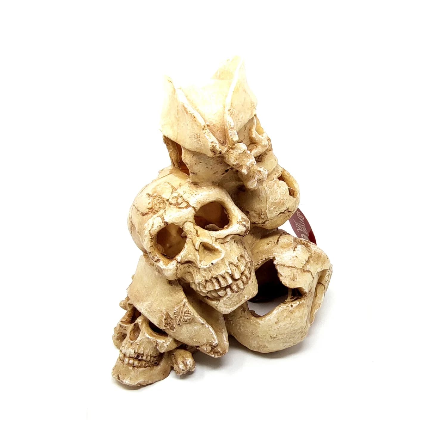 CALAVERA 25 X 21 X 27,7