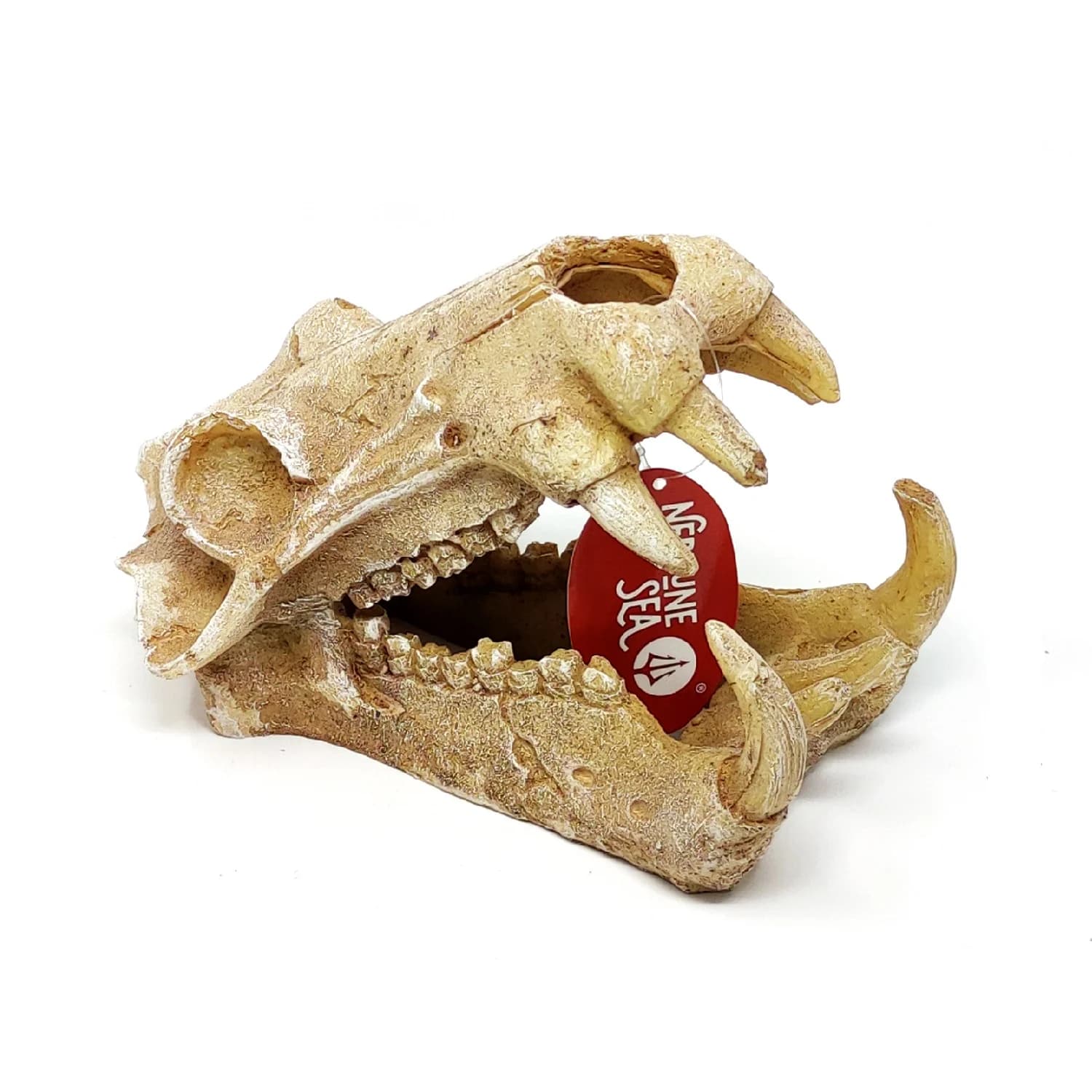 CABEZA FELINO 20 X 11 X 13 CM