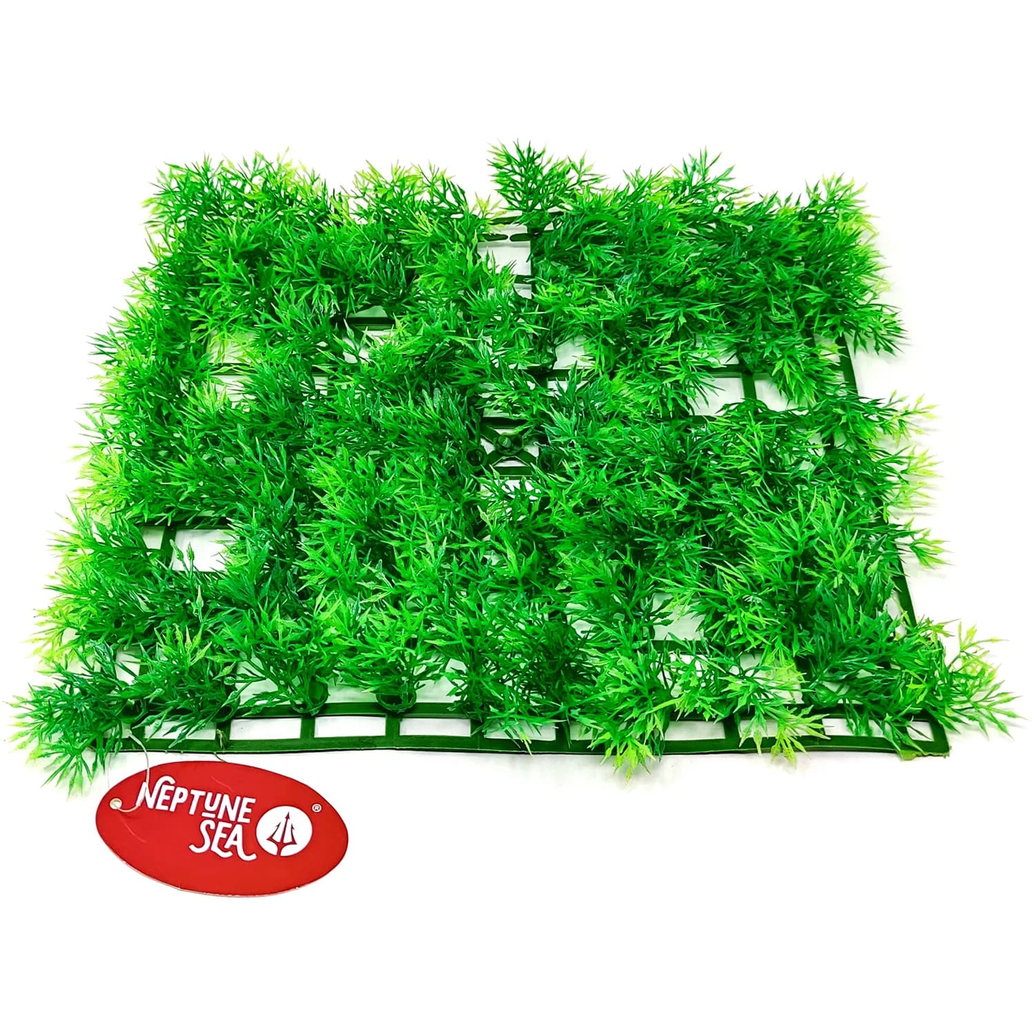 ALFOMBRA PLANTAS D