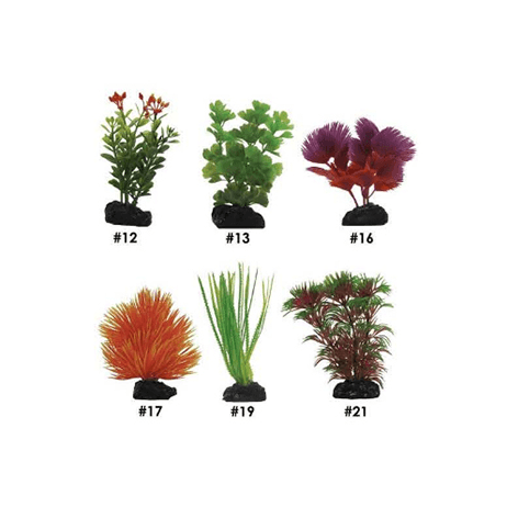 PLANTA SURTIDA MINI