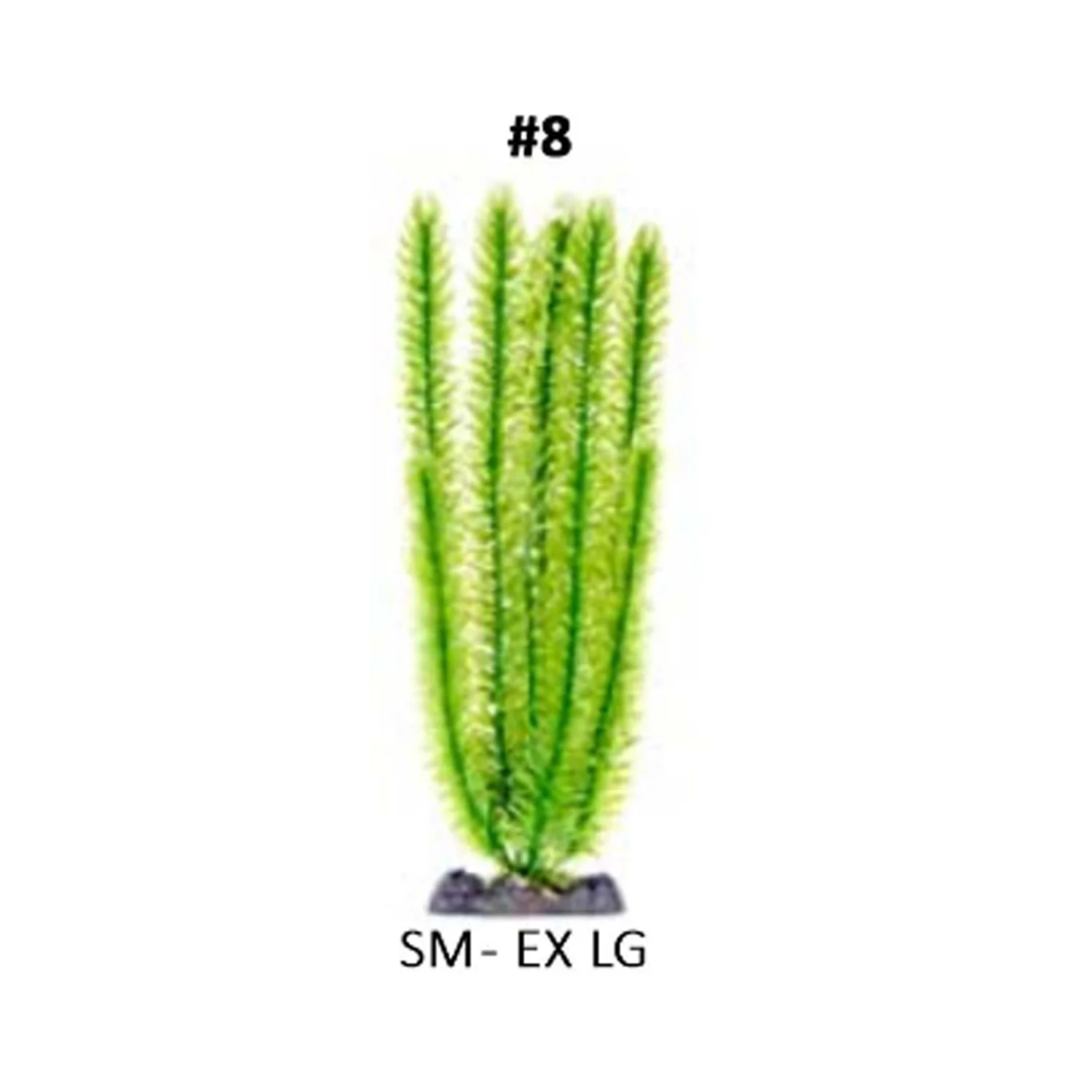 PLANTA HUNDIDA SMALL