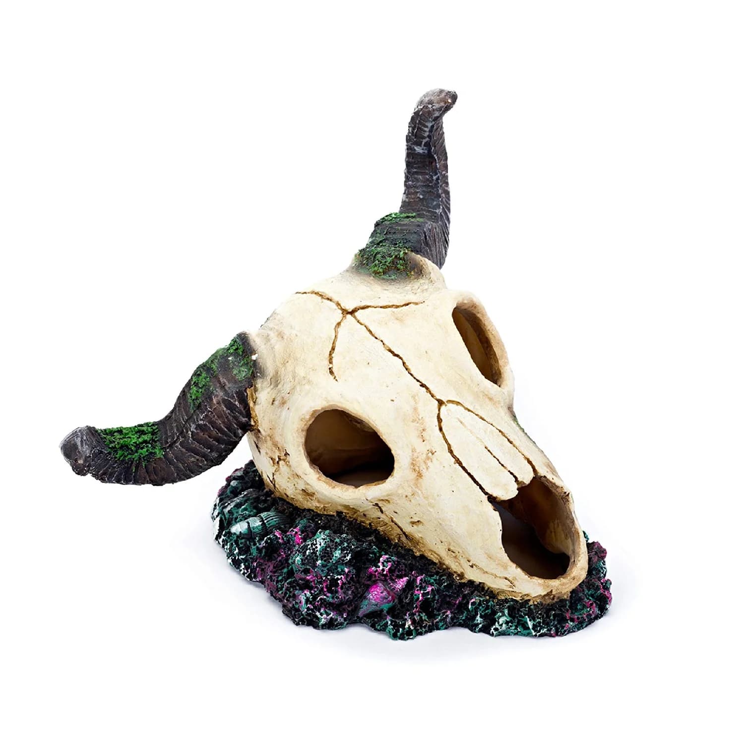 CALAVERA CARNERO