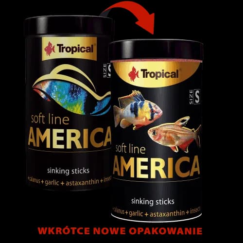SOFT LINE AMERICA SIZE S 100ML/56G
