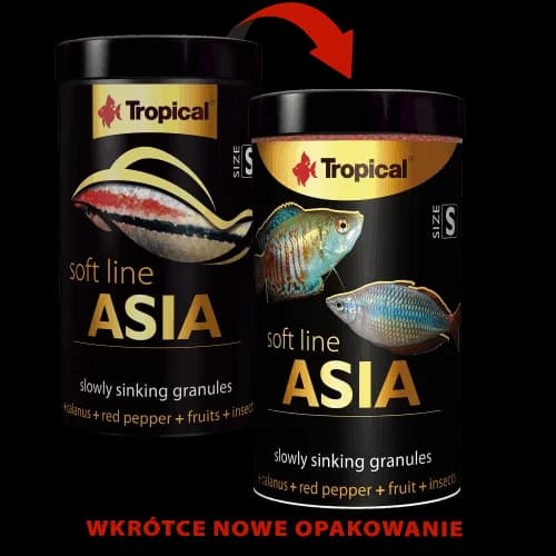 SOFT LINE ASIA SIZE S 100ML/50G