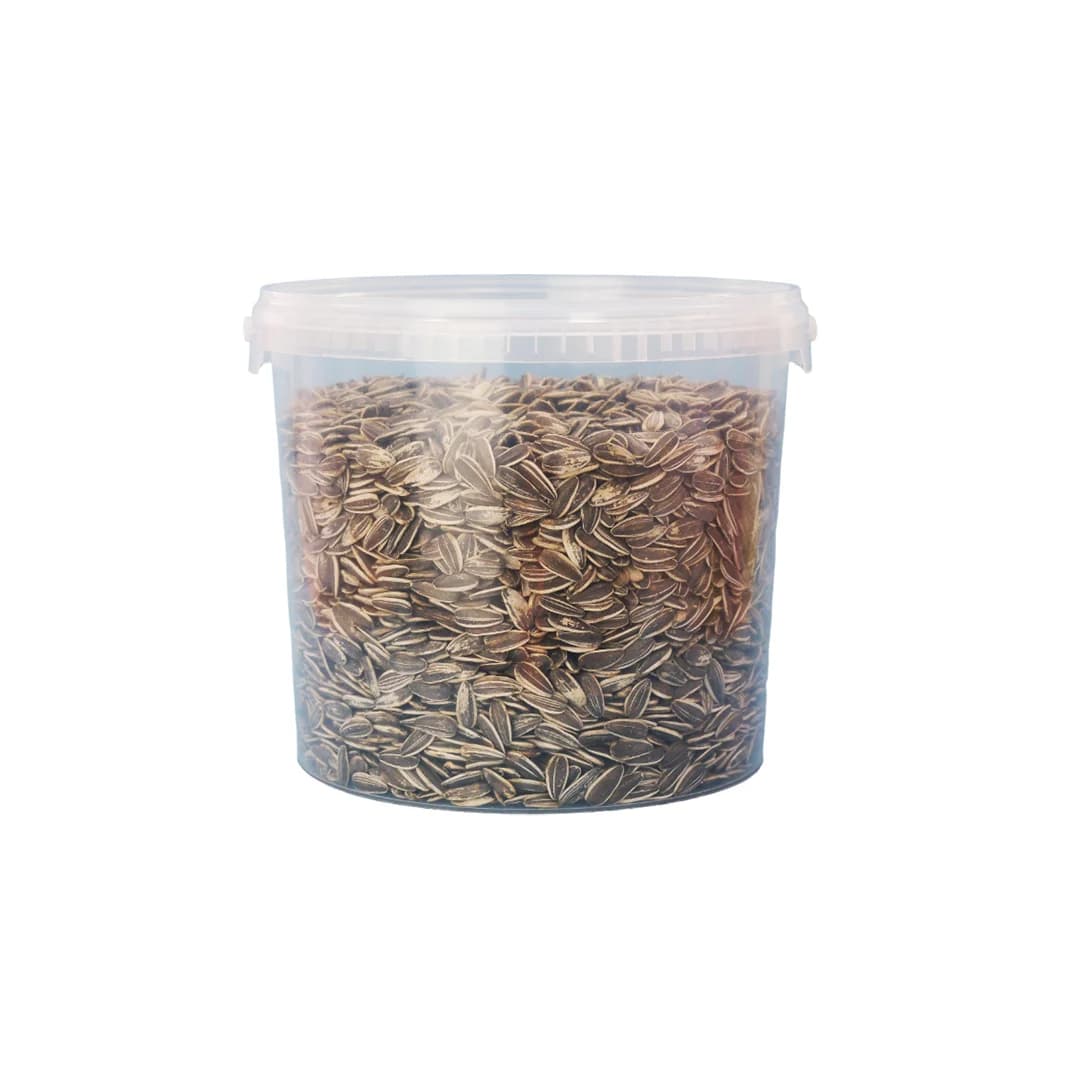SEMILLAS DE GIRASOL 1.5 kg