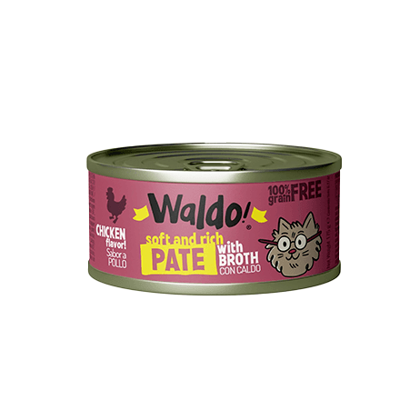 WALDO FOR CATS CHICKEN FLAVOR 175G