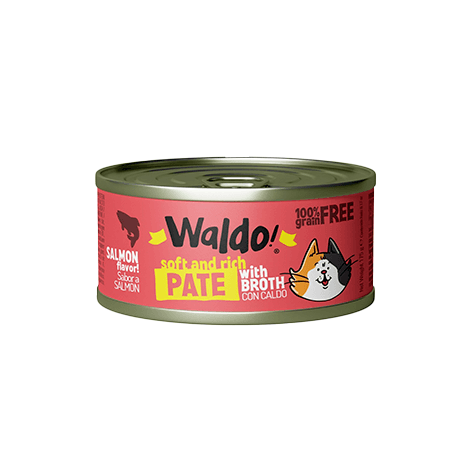 WALDO FOR CATS SALMON FLAVOR 175G