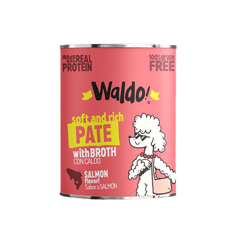 WALDO FOR DOGS SALMON FLAVOR 375 G